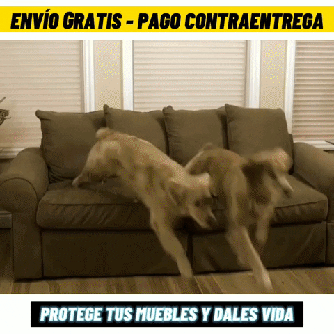 PROTECTOR PARA SOFAS DOBLE FAZ ACOLCHADOS ⭐️⭐️⭐️⭐️⭐️5/5